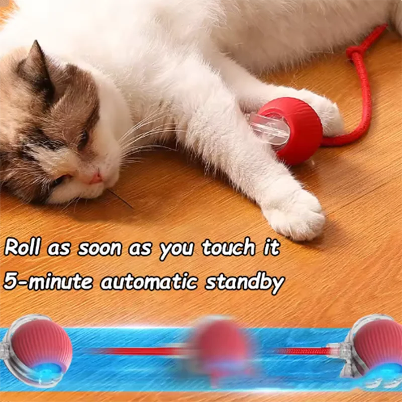 SmartPaw™ Interactive Ball
