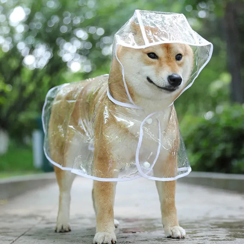 PawShield Transparent Raincoat
