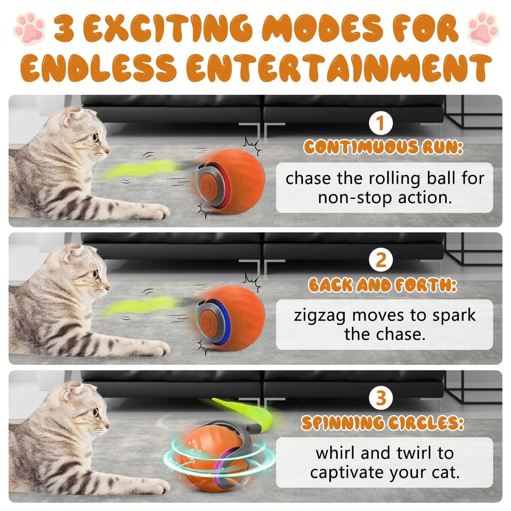 SpeedyTail 2-in-1 Interactive Cat Ball