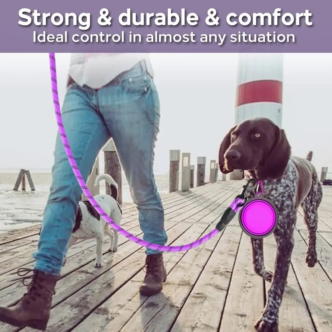 Reflective Nylon Dog Leash