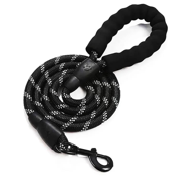 Reflective Nylon Dog Leash