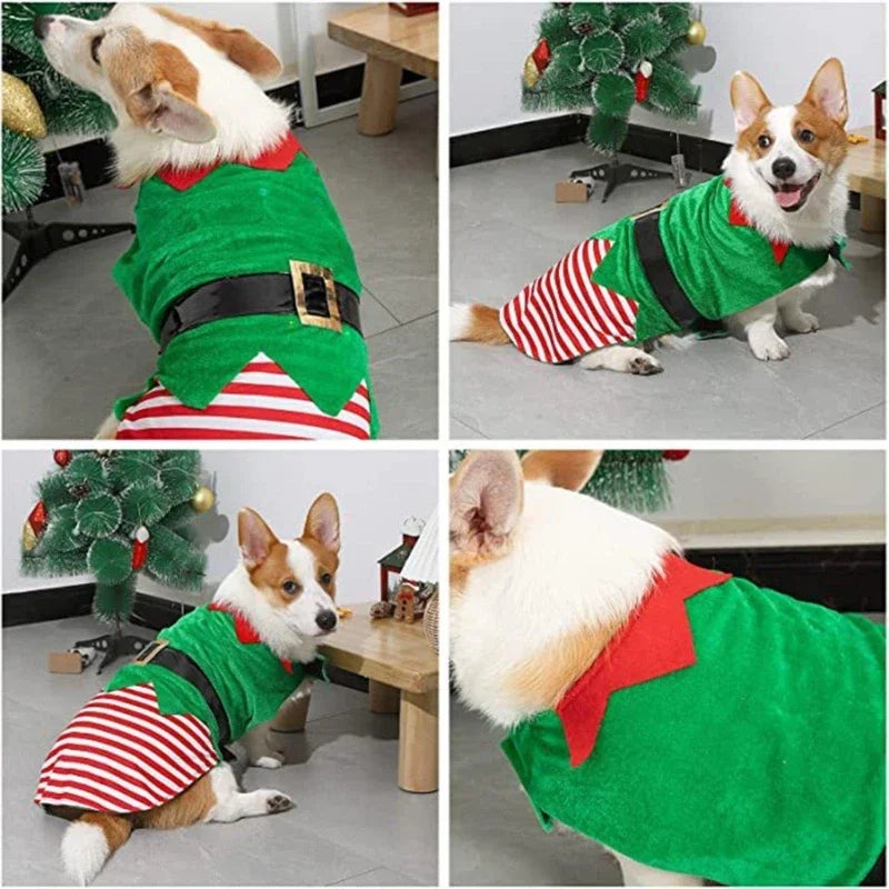 Christmas Elf Dog Wear-PetsProductsWorld