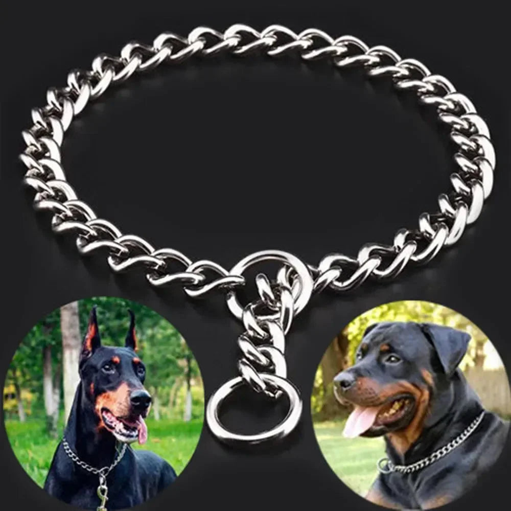 Stainless Steel Slip Chain Collar