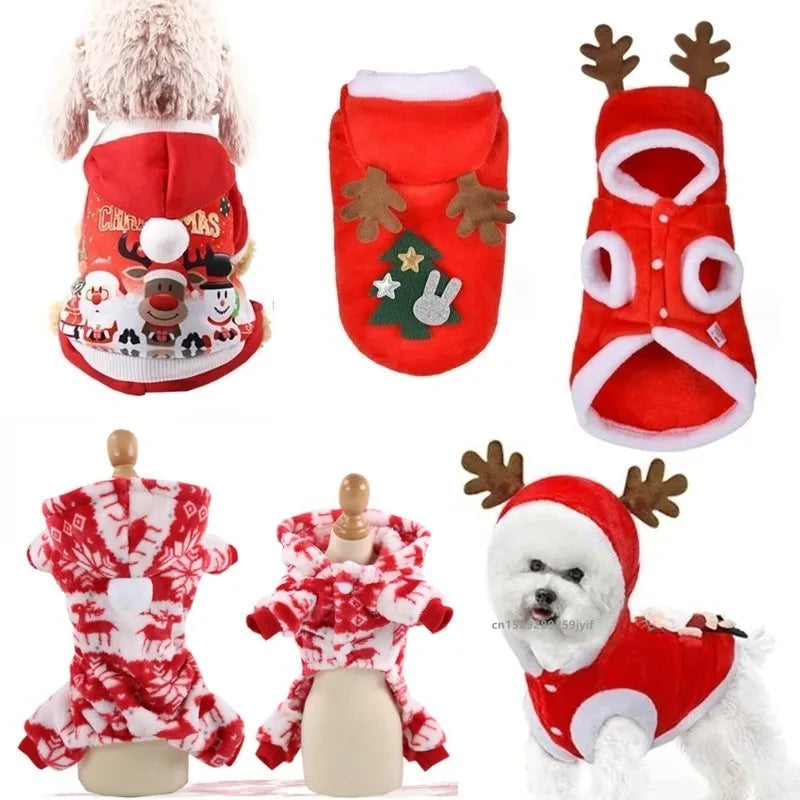 Christmas Pet Santa Outfit