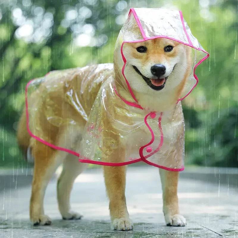 PawShield Transparent Raincoat