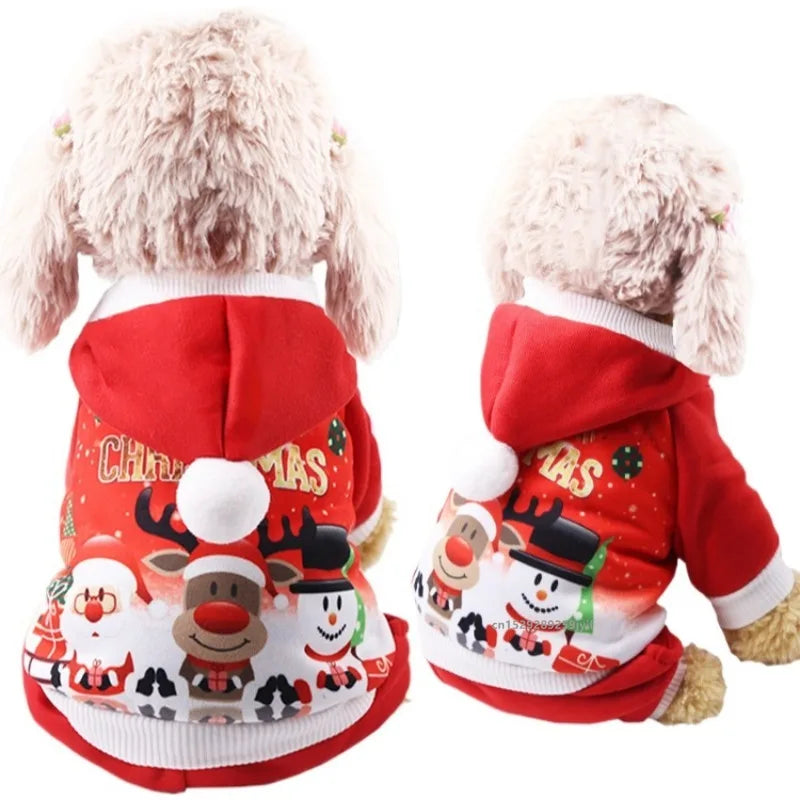 Christmas Pet Santa Outfit