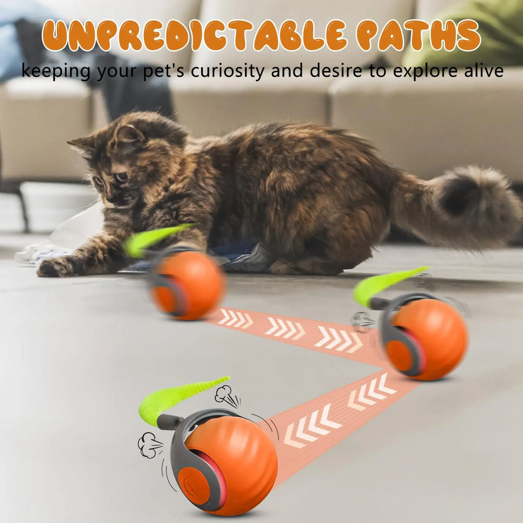 SpeedyTail 2-in-1 Interactive Cat Ball