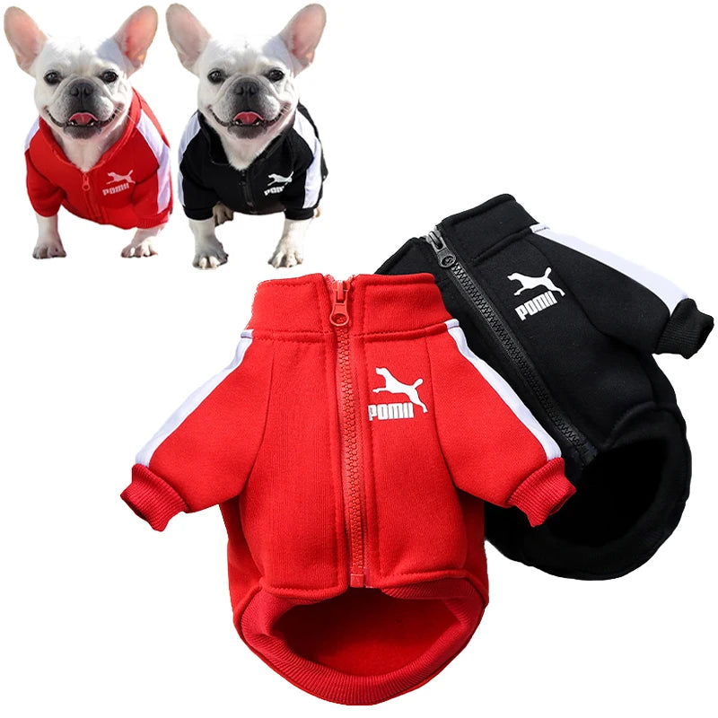 PawBall Dog Jacket