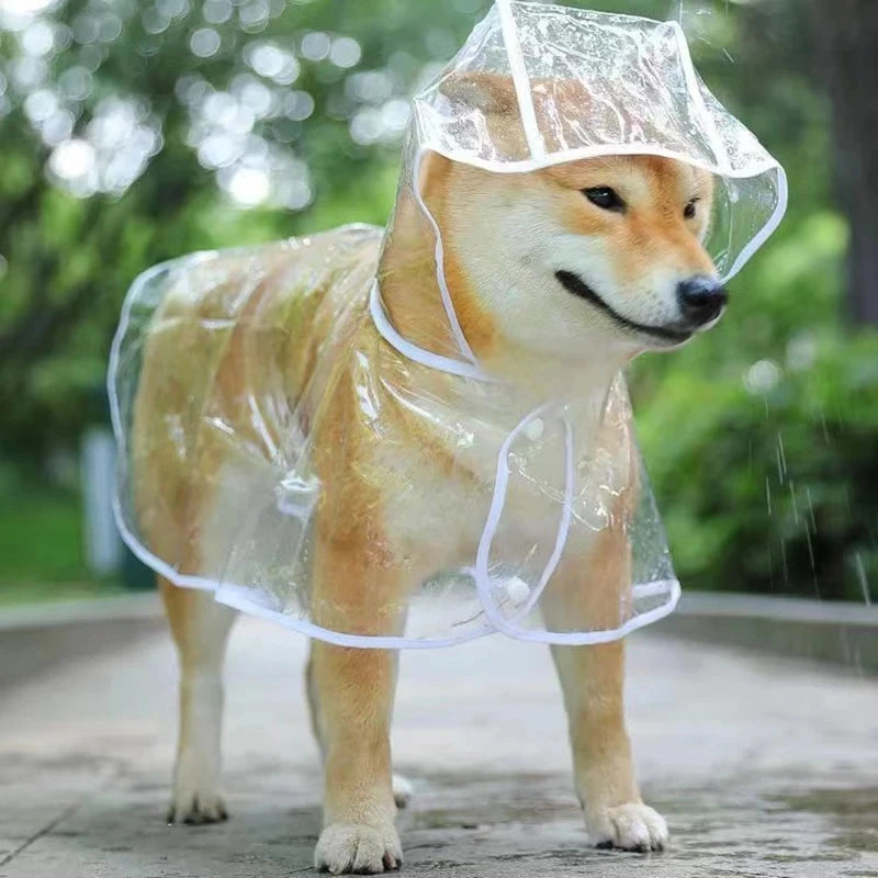 PawShield Transparent Raincoat