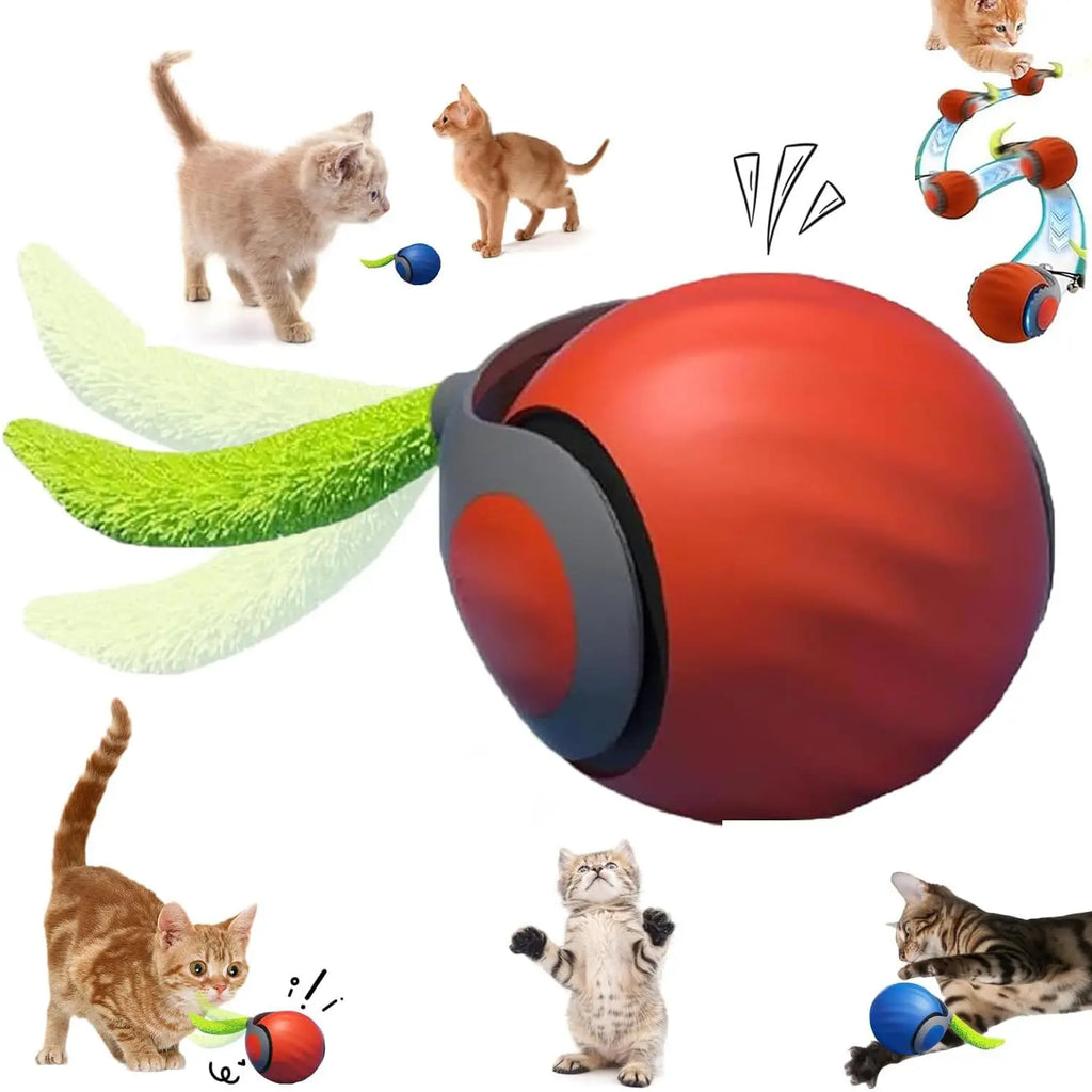 SpeedyTail 2-in-1 Interactive Cat Ball