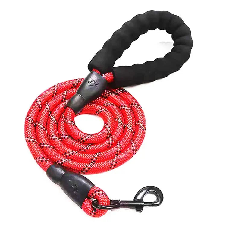 Reflective Nylon Dog Leash
