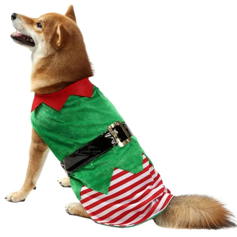 Christmas Elf Dog Wear