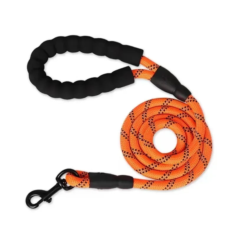Reflective Nylon Dog Leash