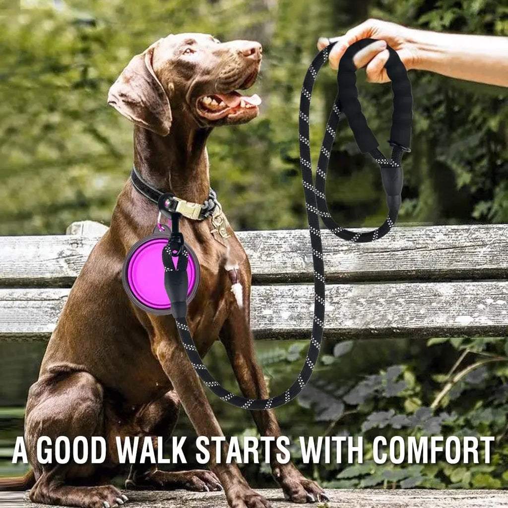 Reflective Nylon Dog Leash