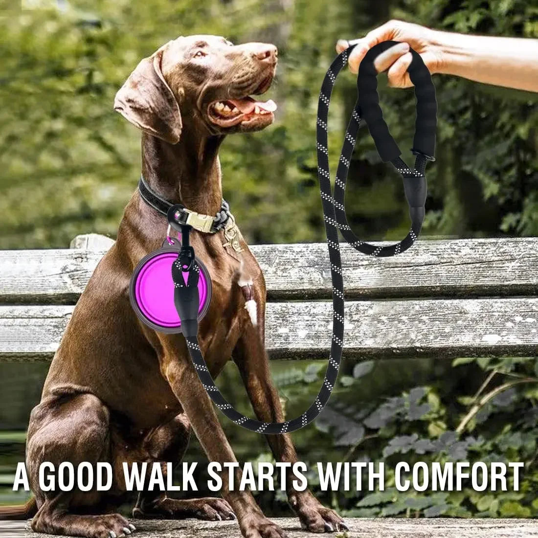 Reflective Nylon Dog Leash
