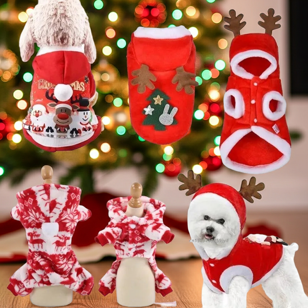 Christmas Pet Santa Outfit