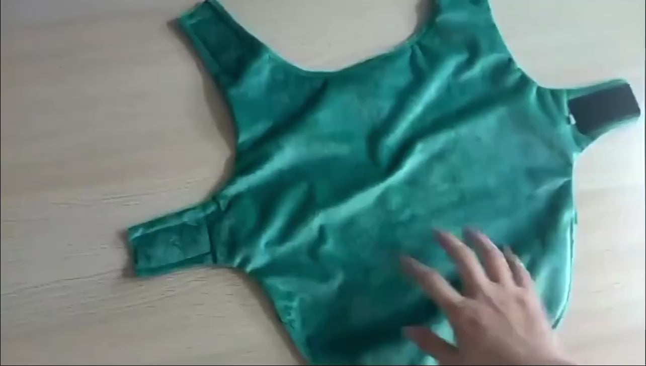 Christmas Elf Dog Wear